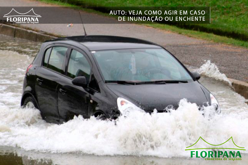 Auto: veja como agir em caso de inundação ou enchente